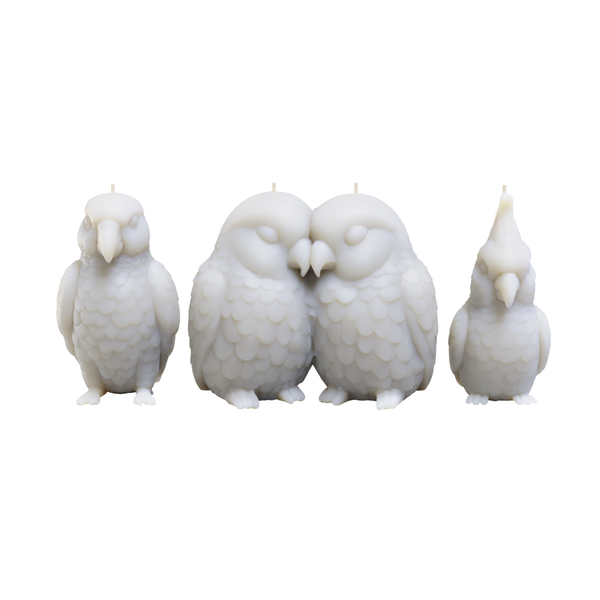Bird Candles Combo - African Grey, Lovebirds and Cockatoo