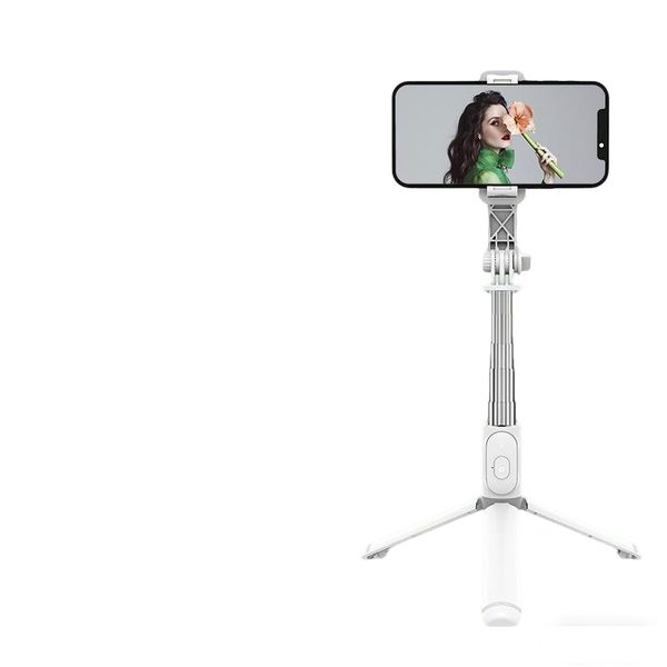 Selfie Stick Tripod with Wireless Remote LED Fill Light