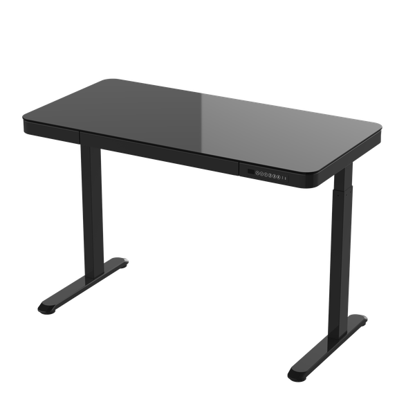 Lekkermotion Electric Rectangular Glass-Top Height Adjustable Desk