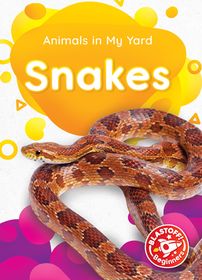 Snakes | Buy Online in South Africa | takealot.com