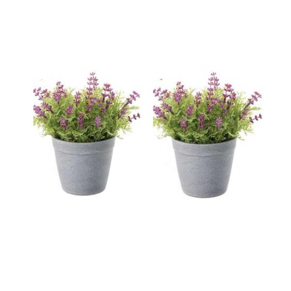 Hyper real Artificial Pot Plants (21cm) x2 Buy Online in South Africa