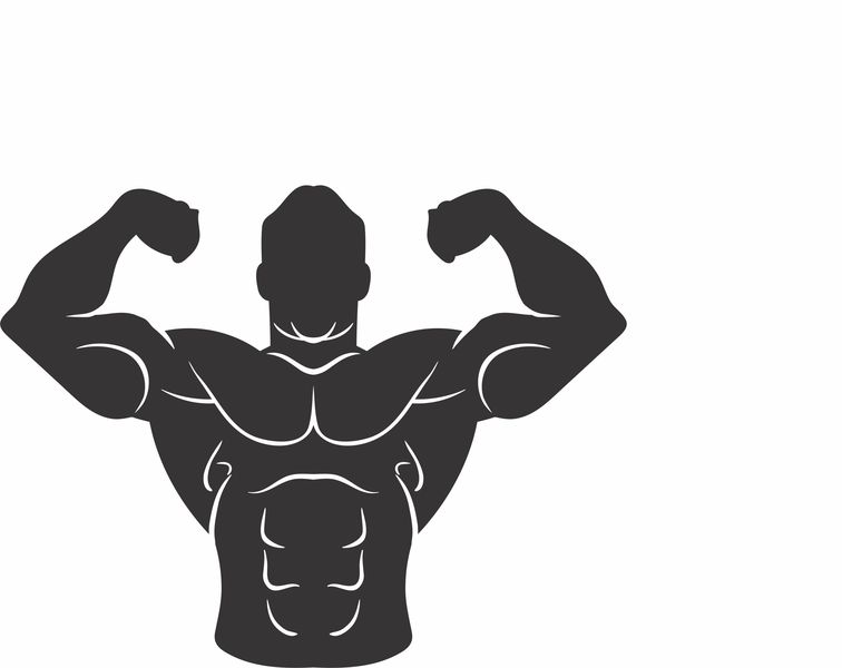 Vinyl Stickers Bodybuilder 3 Decal; Art - Decor