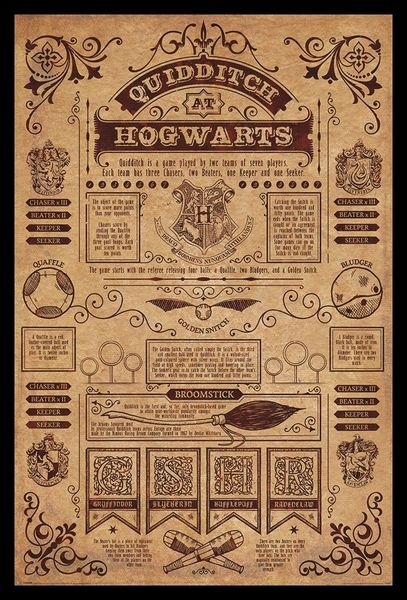 Harry Potter - Quidditch at Hogwarts Poster with Black Frame