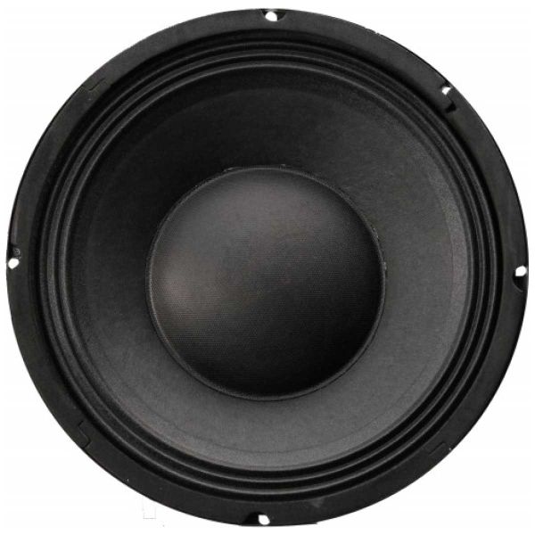 Speaker Replacement 10" 250W RMS