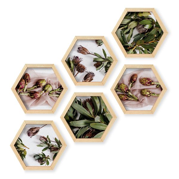 Cape Art Wall Art Pine Hex 6 Piece Collage - Protea Arrangement