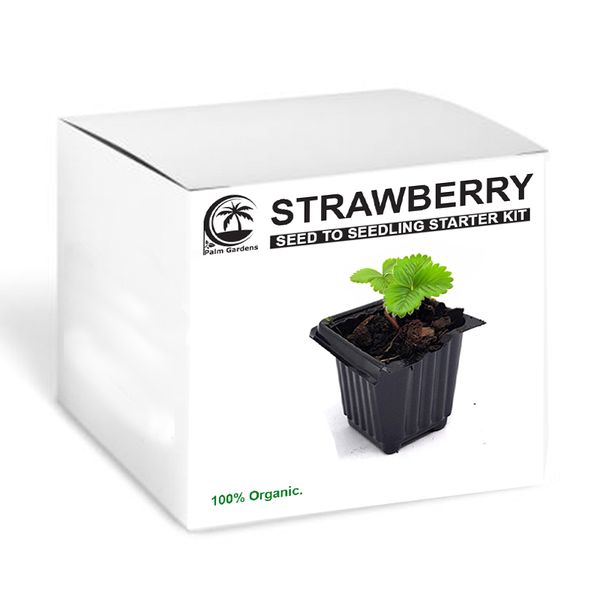 Palm Gardens Strawberry Plant Seed To Strawberry Seedling Grow Starter Kit
