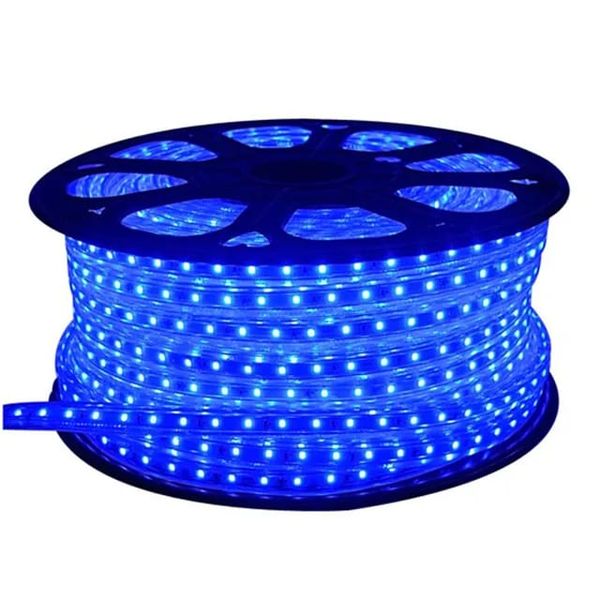 Blue Waterproof Ip65 Flexible Flex 100M Led Light Strip