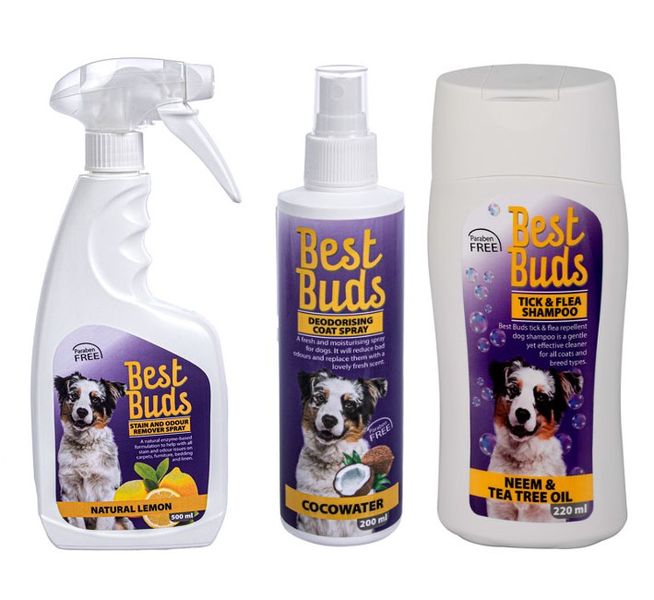 Tick &amp; Flea Shampoo 220ml + Deodorising Coat Spray 200ml + Pet Stain and Odour Remove 500ml