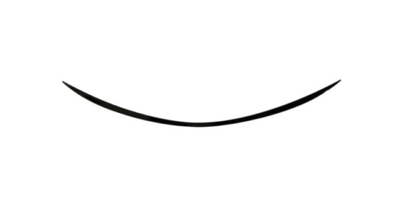 Style Boot Spoiler compatible with Mercedes Benz C-Class W205 C63