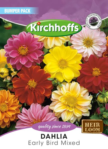 Kirchhoffs Dahlia Early Bird Mixed Large Bumper Pack