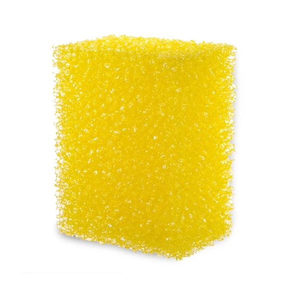 Body Exfoliating Sponge