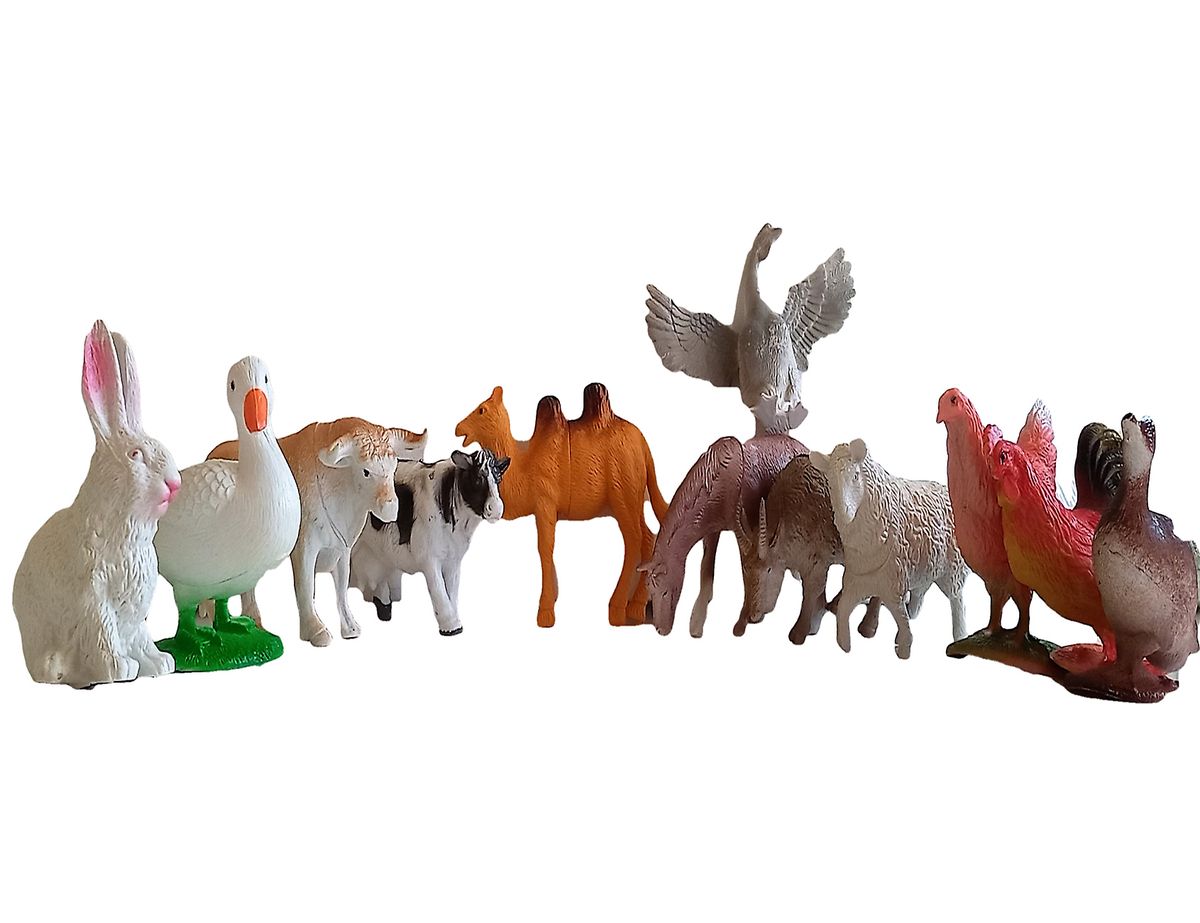 12 Piece Assorted Animal FigureToy Play Set Buy Online in South
