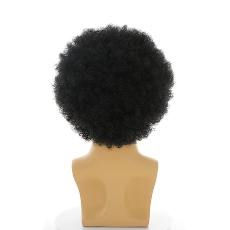 Afro Wig Shop Today. Get it Tomorrow takealot