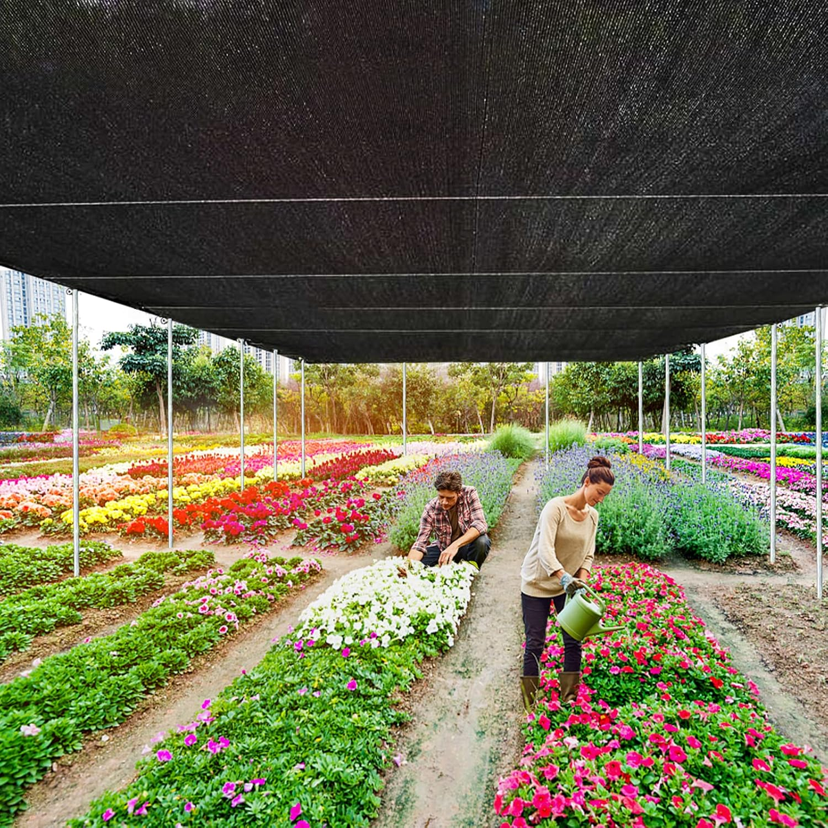 Shade Sail, Garden Shade Net, Outdoor Awning - 2 x 4m | Shop Today