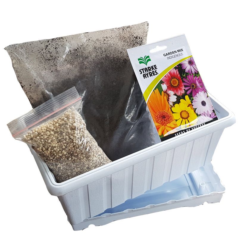 Flower Seeds Grow Kit With Pot White Shop Today. Get it Tomorrow