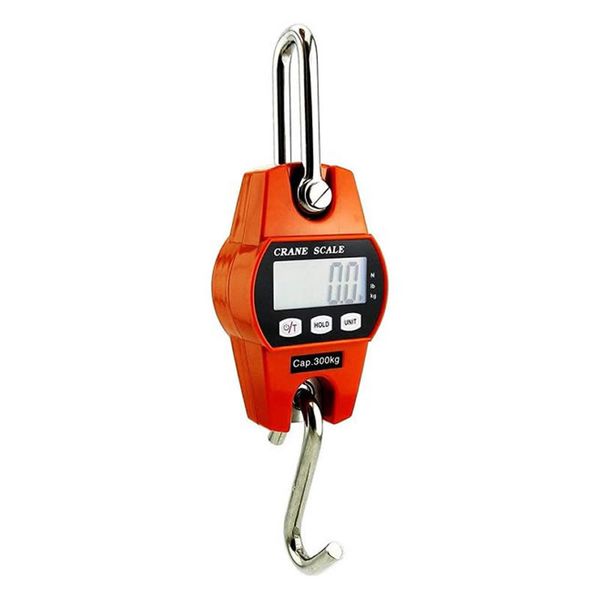 300kg Portable Mini Crane Hanging Scale