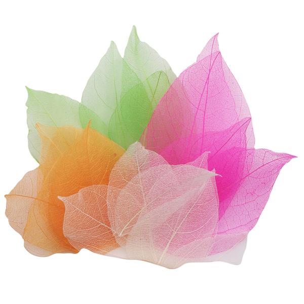 Anthony Peters - Skeleton Leaves - Bumper Assortment - 300pcs