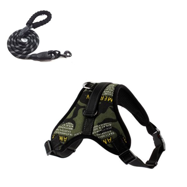 Dog Harness &amp; Lead Green S