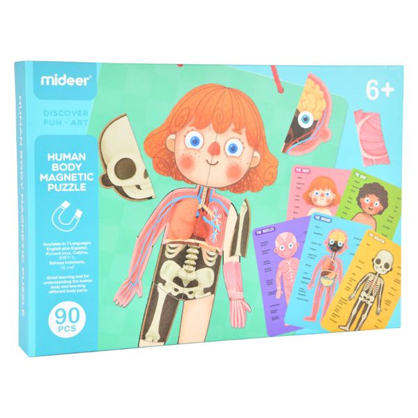 Mideer Body Magnet Building Set