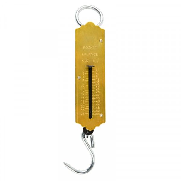 Bulk Pack 2 x Pocket Type Scale - 25Kg