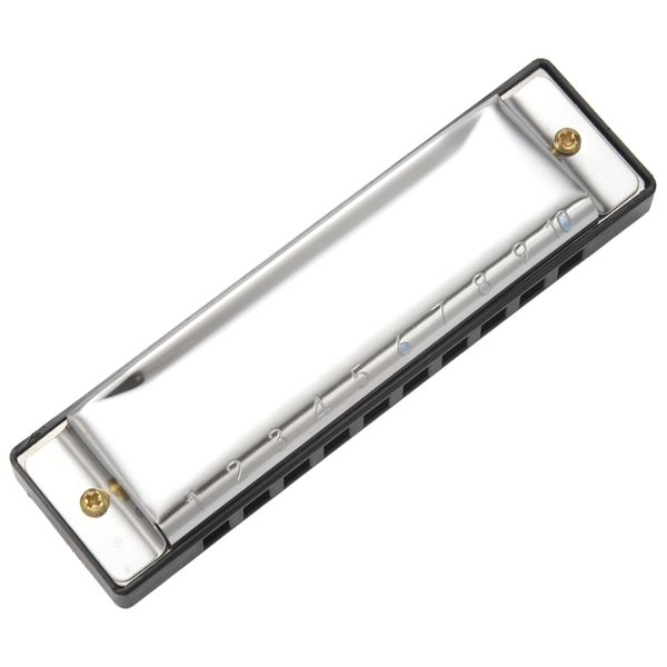 10 Holes Blues Harmonica Instrument Stainless Steel Mouth Organ
