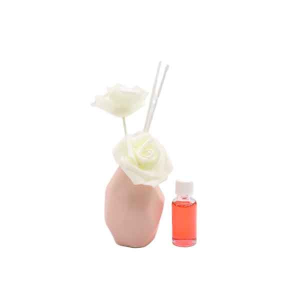 Fragranced Aroma Diffuser with 20ml Refill
