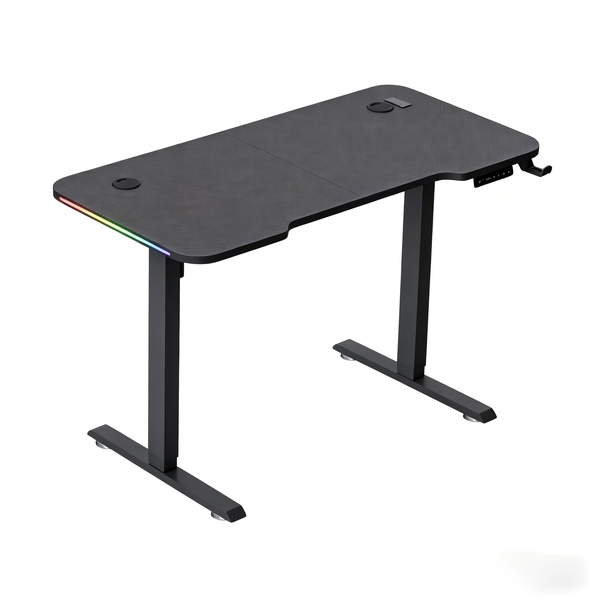 Electric Office Desk Adjustable Height Desk Stand Up Desk Gaming Desk