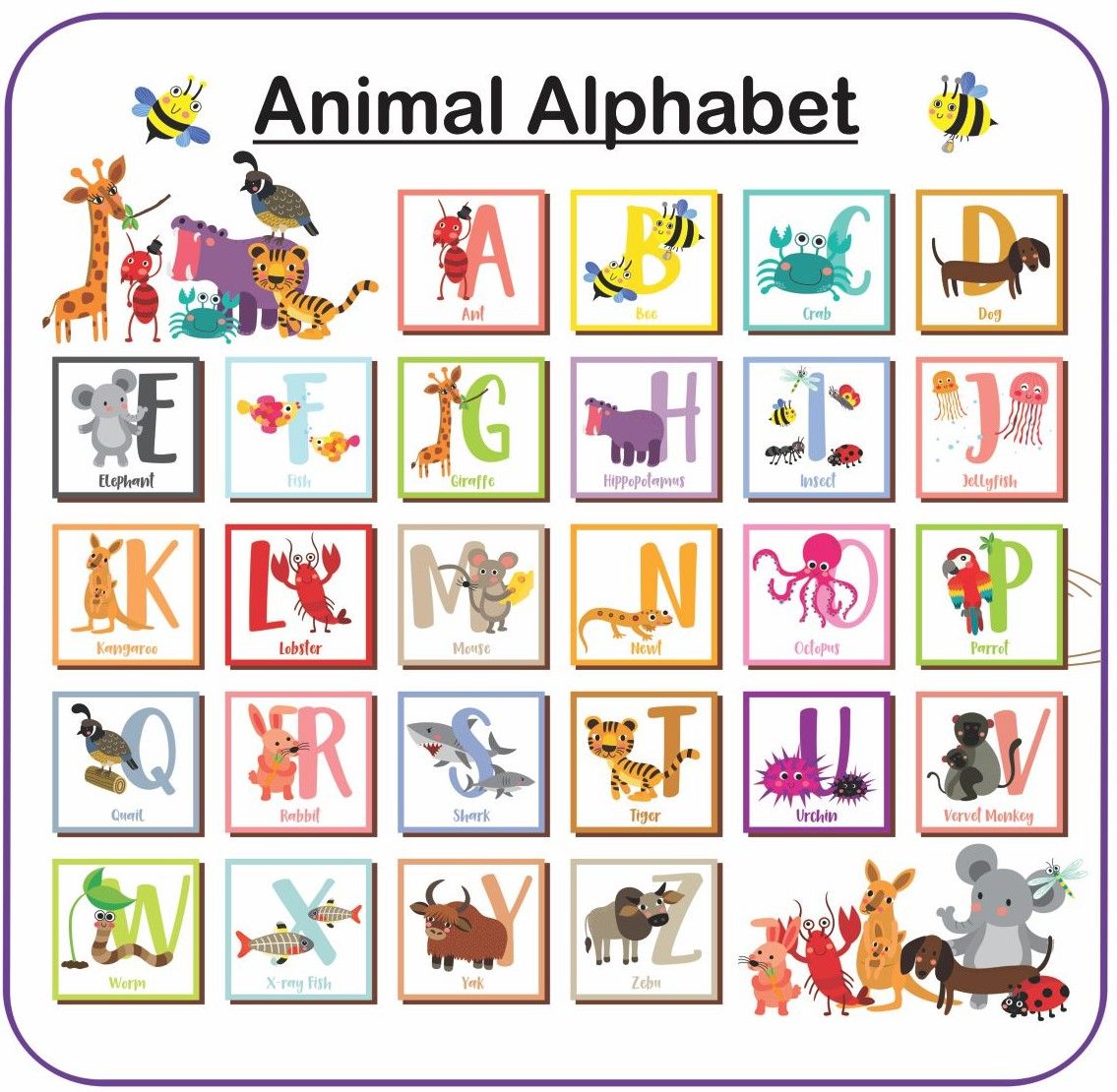 Playmat Animal Alphabet | Shop Today. Get it Tomorrow! | takealot.com