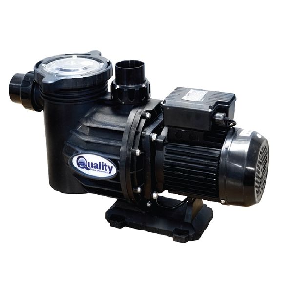 Quality 0.6kW Pump And Motor Swimflo 2