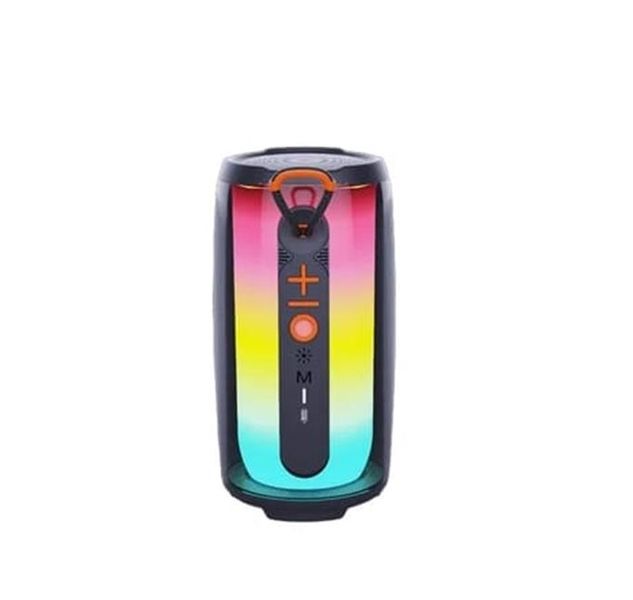 Portable Wireless Outdoor Karaoke Party Speaker with LED RGB