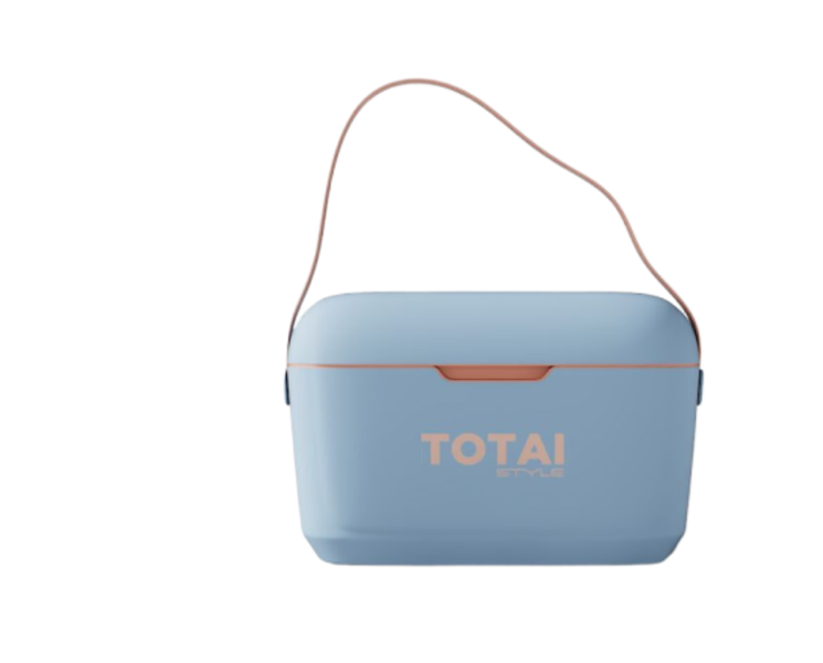Totai Style Retro 12L Cooler Box With Strap