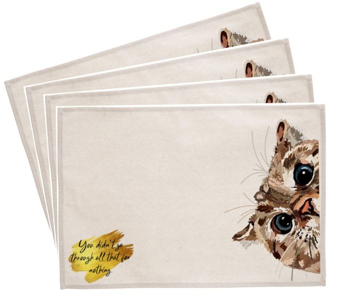PepperSt Placemat Set - Didn't Go... (Set of 4)