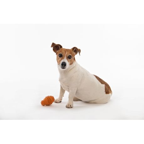 takealot dog toys