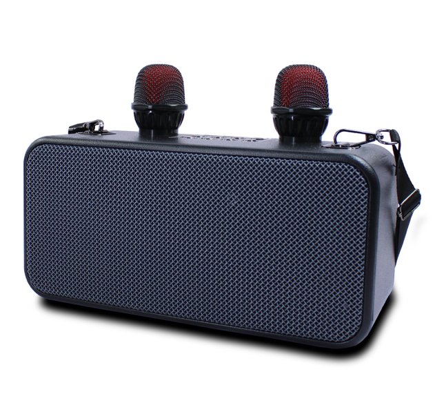 All-in-One Wireless Karaoke Speaker