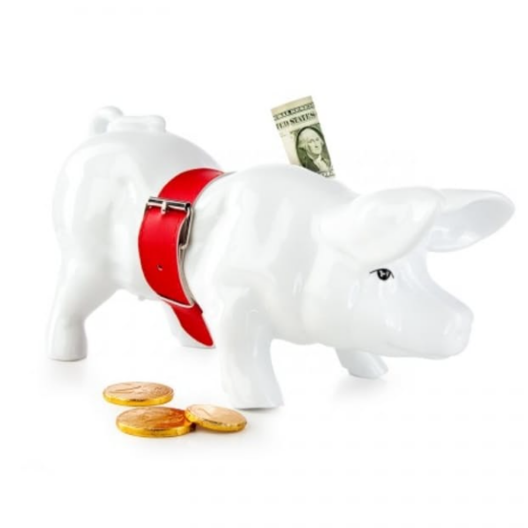 Money Bank Angie The Piggy Bank Buy Online in South Africa