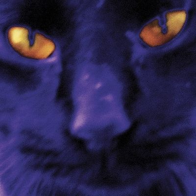 Bobbie's a Girl (Vinyl / 12" Album)