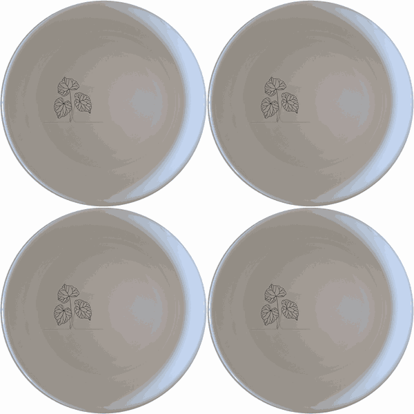 Begonia Maculata Bowl Set of 4 - Range 1