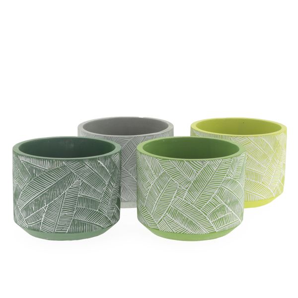 Concrete Pot - Phao - Assorted - 9cm