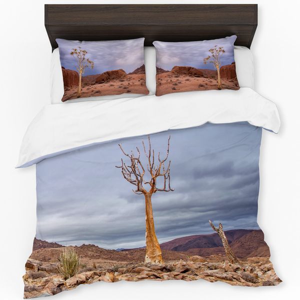 Quiver Tree Richtersveld By Fanie Heymans