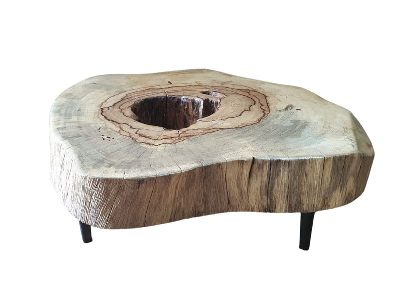 Unique Hardwood Slice Coffee Table - Small