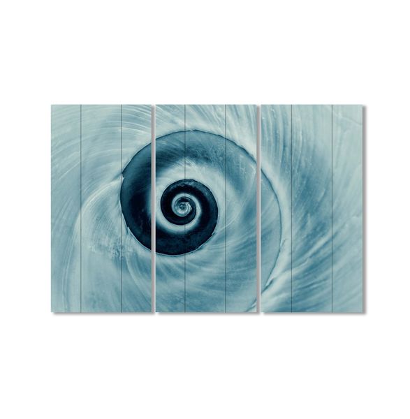 Cape Art Wall Art MDF 3 Piece Collage Shell