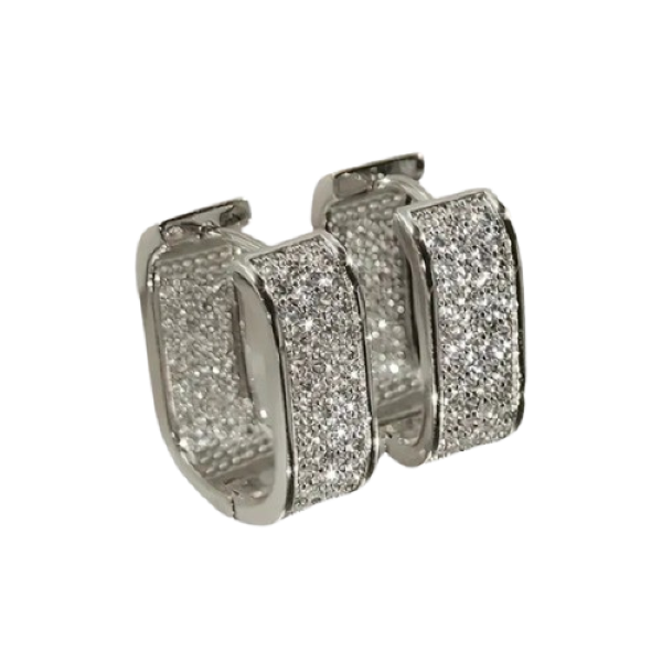 Hoop Earrings image