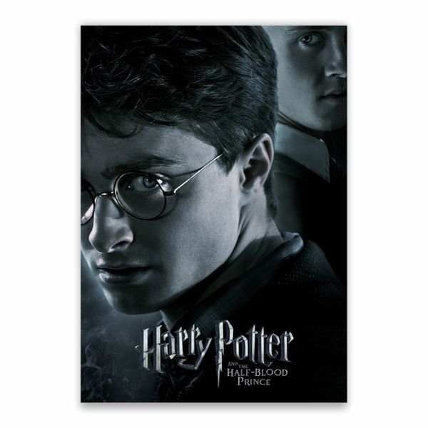 Harry And Draco Half-Blood Prince Poster - A1