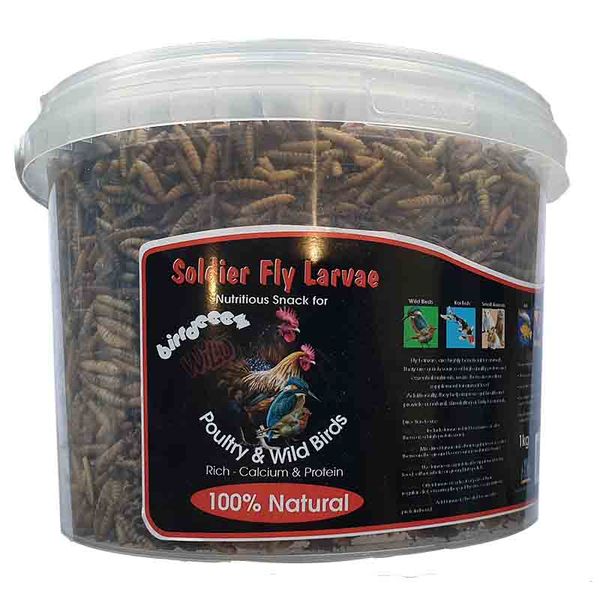 Akwa Solider Fly Larvae 1Kg for Birds Fish, Small Pets &amp; Reptiles