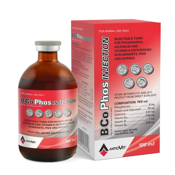 Antrovet - Antrovite B-Com 100ml