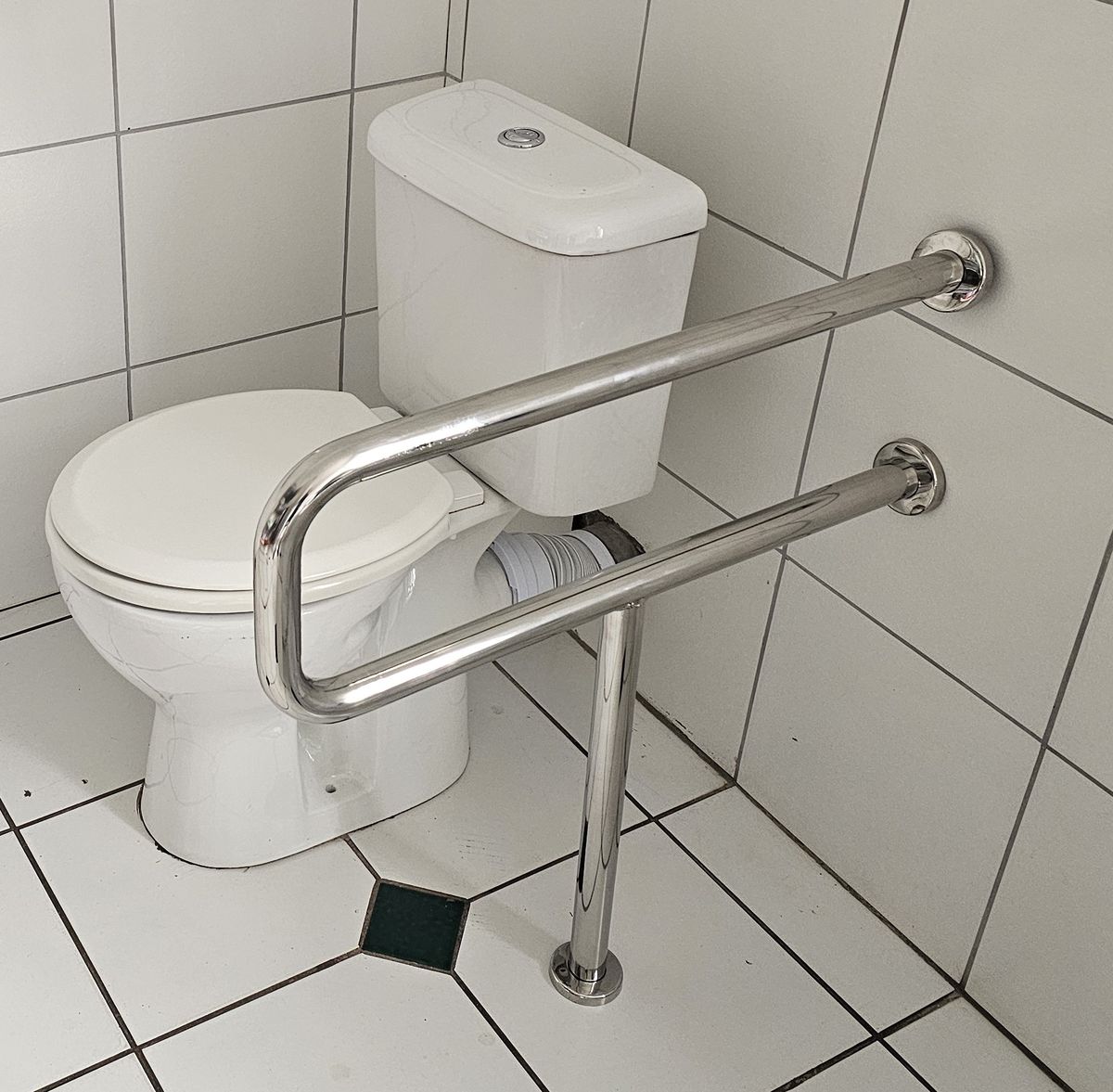 Toilet Assist Rail