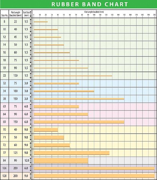 Bulk 1Kg Rubber Bands Size 12