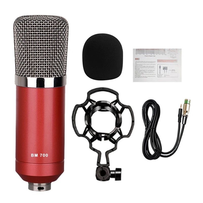 Studio Recording Wired Condenser Sound Microphone with Shock Mount