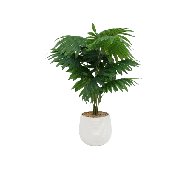 White Twing Pot Desktop Green Fern Leaf 14 x 53 cm