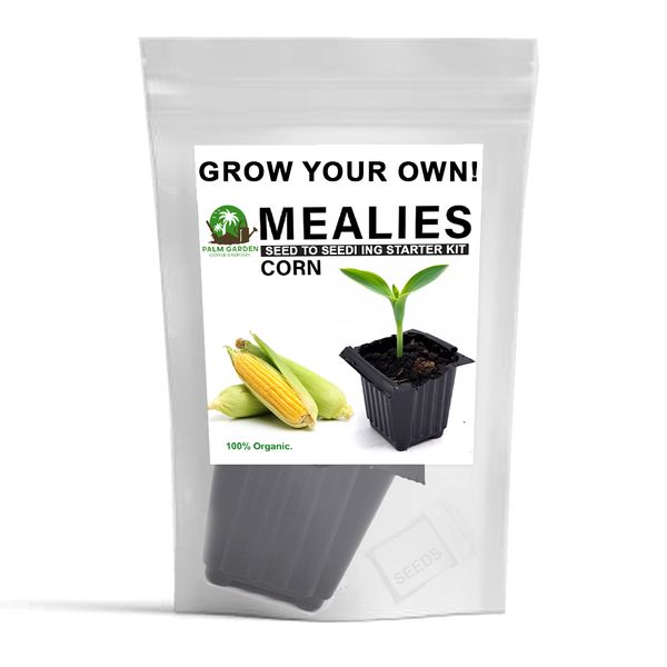 Palm Garden Grow Your Own Corn Mealies Plant -Seed to Seedling Kit